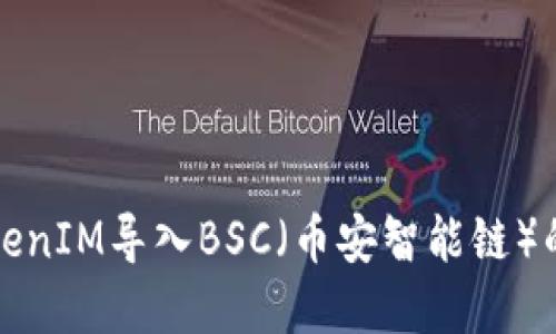如何将TokenIM导入BSC（币安智能链）的完整指南