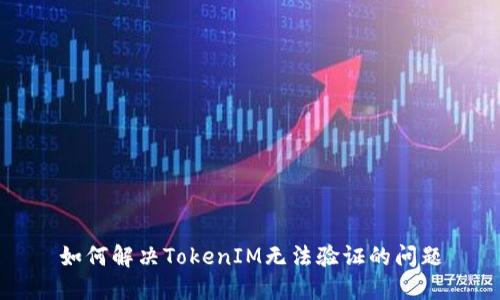 如何解决TokenIM无法验证的问题