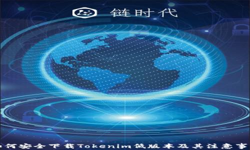 
如何安全下载Tokenim低版本及其注意事项