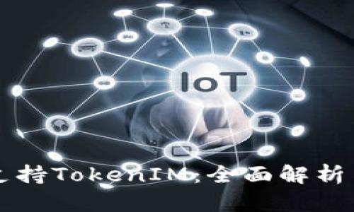 狗币是否支持TokenIM：全面解析与未来展望