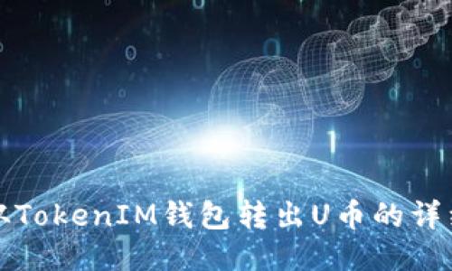 如何从TokenIM钱包转出U币的详细指南