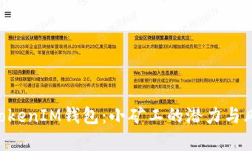 TokenTokenIM钱包：小矿工的潜力与风险分析