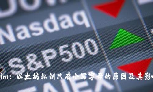 Tokenim: 以太坊私钥只有小写字母的原因及其影响分析