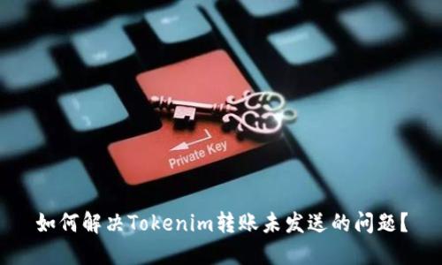 如何解决Tokenim转账未发送的问题？