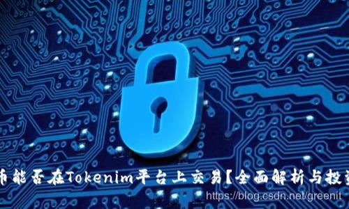 山寨币能否在Tokenim平台上交易？全面解析与投资指南