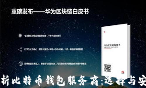 
全面解析比特币钱包服务商：选择与安全指南