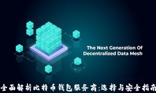 
全面解析比特币钱包服务商：选择与安全指南