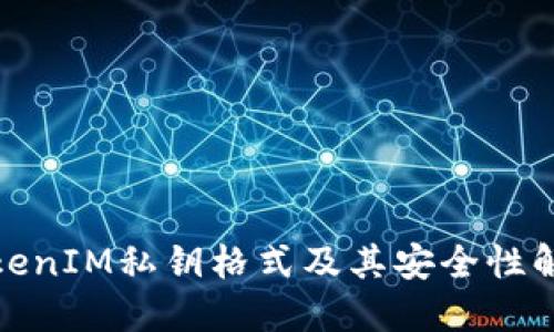 TokenIM私钥格式及其安全性解读