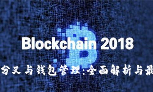 比特币分叉与钱包管理：全面解析与最佳实践