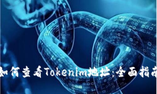如何查看Tokenim地址：全面指南