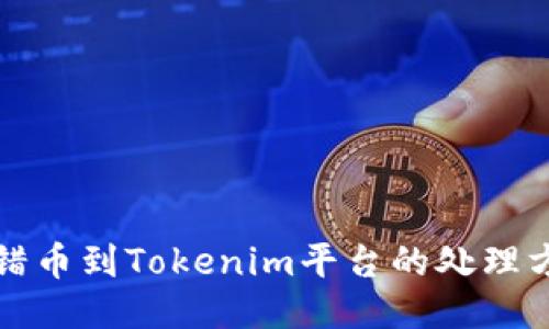 提错币到Tokenim平台的处理方案