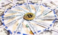 Tokenim软件收费标准及使用详解