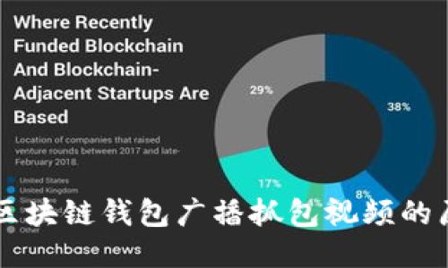 深入探讨区块链钱包广播抓包视频的原理与应用
