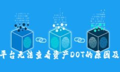 Tokenim平台无法查看资产DOT的原因及解决方案