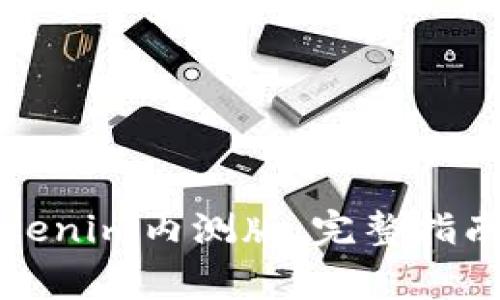 如何成功下载Tokenim内测版：完整指南与常见问题解答