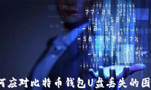 
如何应对比特币钱包U盘丢失的困境？