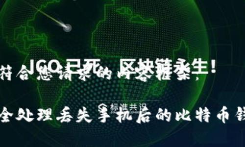 以下是符合您请求的内容框架:
如何安全处理丢失手机后的比特币钱包问题