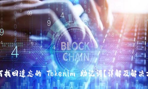 如何找回遗忘的 Tokenim 助记词？详解及解决方案