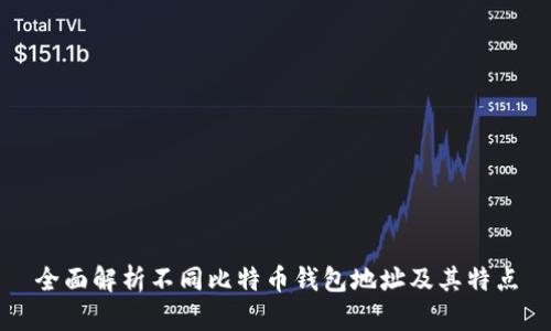 全面解析不同比特币钱包地址及其特点