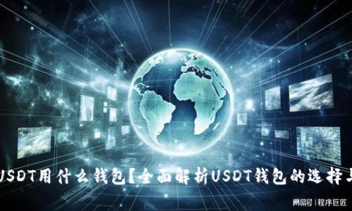 大家USDT用什么钱包？全面解析USDT钱包的选择与使用