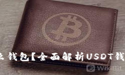 大家USDT用什么钱包？全面解析USDT钱包的选择与使用