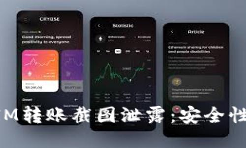 如何防止TokenIM转账截图泄露：安全性与隐私保护指南