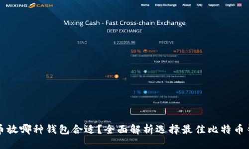 优质 
买了比特币放哪种钱包合适？全面解析选择最佳比特币钱包的指南