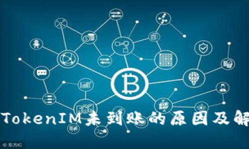 货币转TokenIM未到账的原因及解决方案