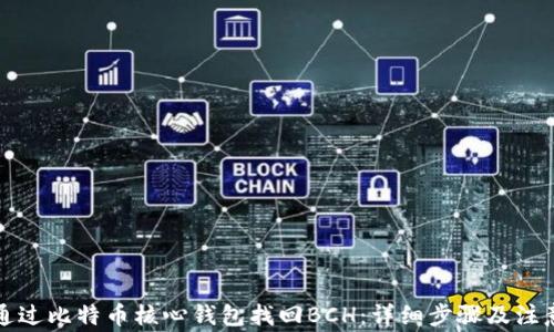 
如何通过比特币核心钱包找回BCH：详细步骤及注意事项