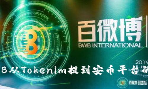 如何将BNB从Tokenim提到安币平台的完整指南