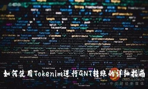 如何使用Tokenim进行GNT转账的详细指南