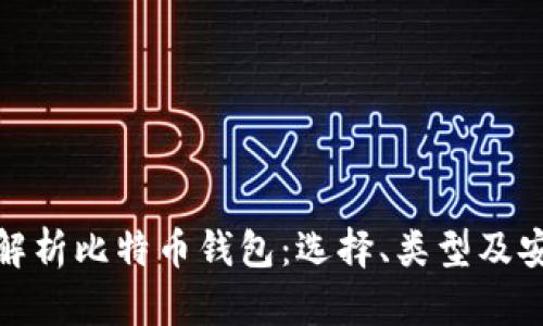 全面解析比特币钱包：选择、类型及安全性