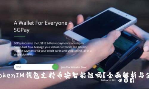 TokenTokenIM钱包支持币安智能链吗？全面解析与使用指南