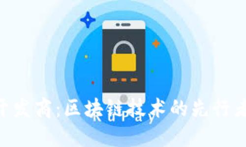 Tokenim开发商：区块链技术的先行者与创新者