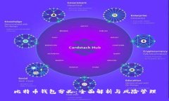 比特币钱包分叉：全面解析与风险管理