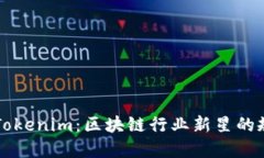 深入解读Tokenim：区块链行业新星的规模与潜力