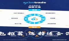 比特币存放钱包推荐：选择适合你的比特币钱包