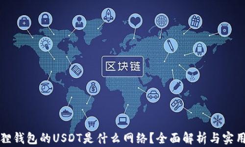 
小狐狸钱包的USDT是什么网络？全面解析与实用指南
