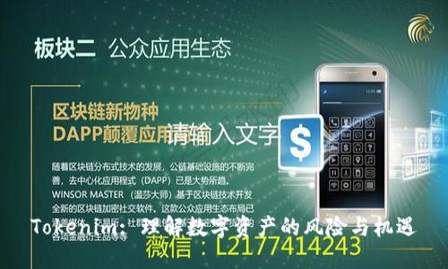 Tokenim: 理解数字资产的风险与机遇